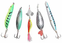 Lojas de Pesca em Igarassu